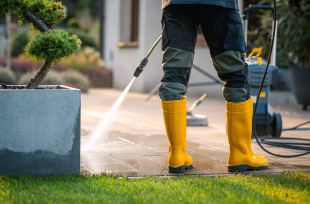 Best Pressure Washing Near Me  in Roxborough Park, CO
